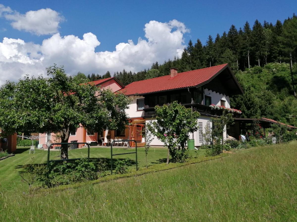 Privatzimmer Deutz Durnstein in der Steiermark المظهر الخارجي الصورة